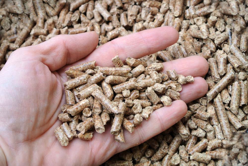 Importance of Quality Pellets and How to Identify Them - LittleHomeTips